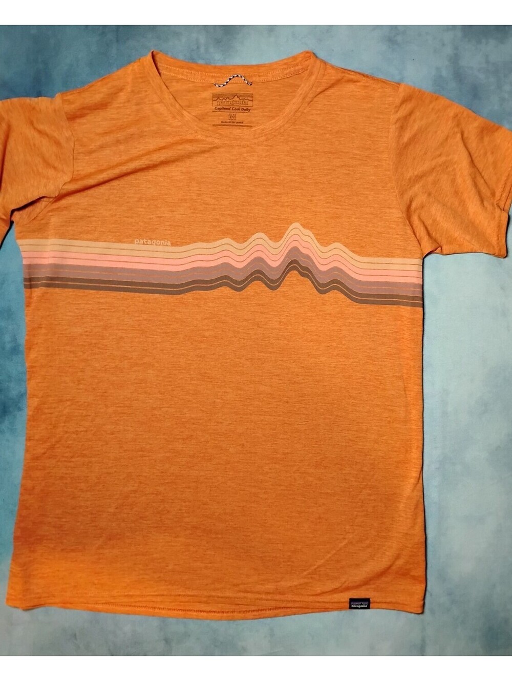 Patagonia Orange Graphic T-Shirt
